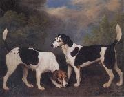 George Stubbs A Couple of Foxhounds